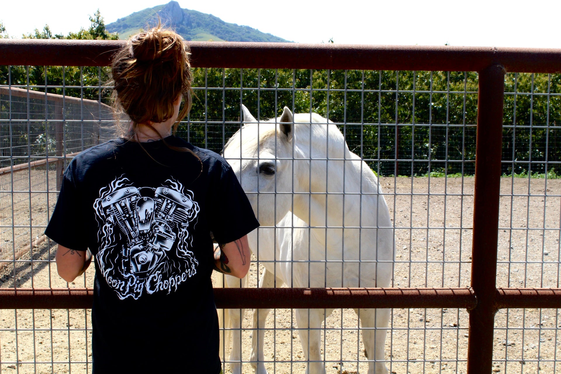 FLAMIN' HOG TEE